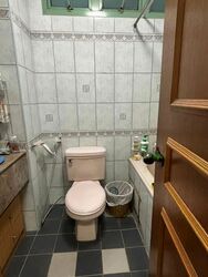 Hillview Park (D23), Condominium #585515561